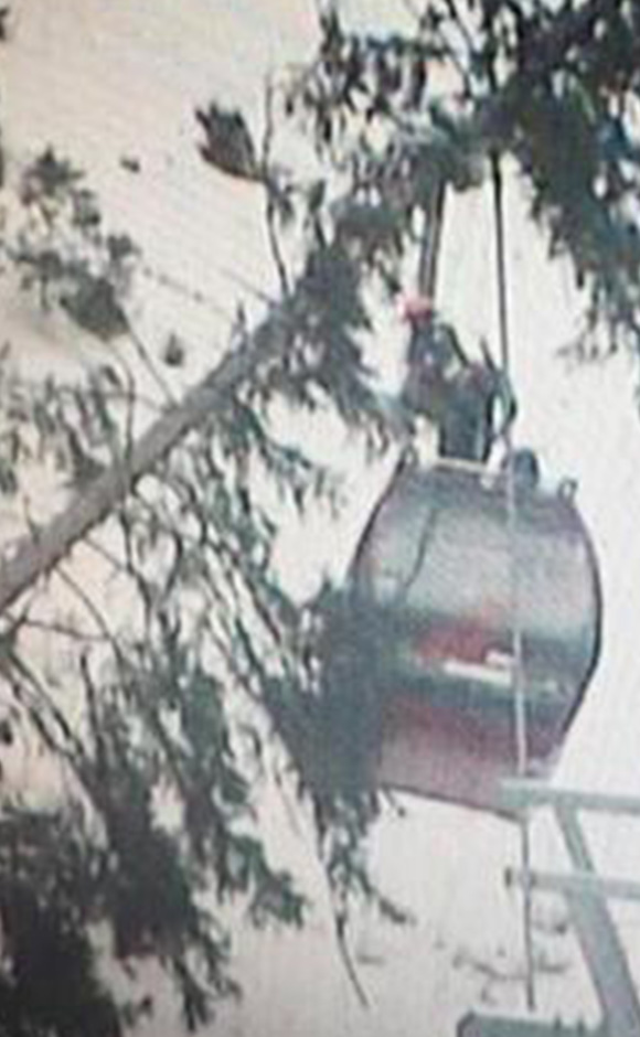 Tree crashes into cable car