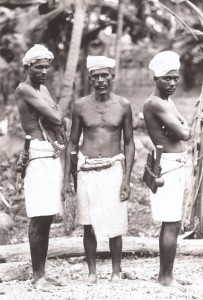 1914 photo of coconut tree harvesters
