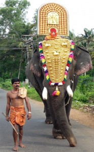 Gajarajan Kesavan Kerala's grandest elephant