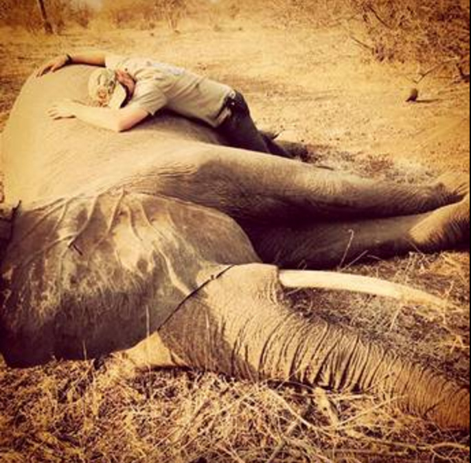 Prince Harry hugging elephant at Kruger National Park in South Africa