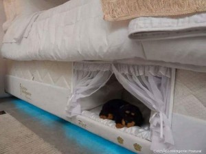 bunk mattress for you and your pet