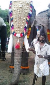 Mahout Krishnankutty and elephant 