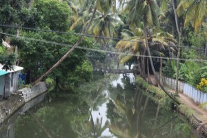 Backwaters of Kochi