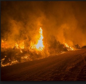 Raging forest fire in Fort McMurray