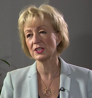 Mrs Andrea Leadsom