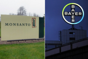 bayer-monsanto