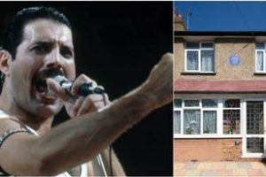 Freddie Mercury