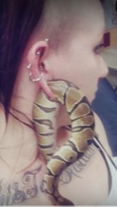 Snake stuck in earlobe