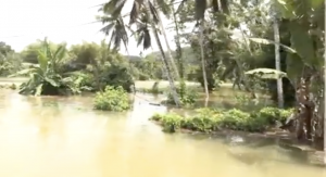 Overflowing Kelani river