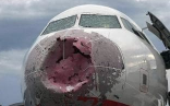 Damaged Airbus
