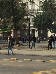 Chilean student protestor pelting bottles at riot police.