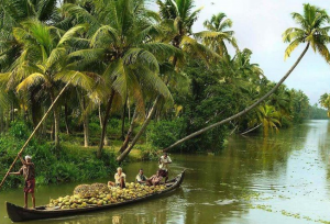Picturse  backwaters of Kerala