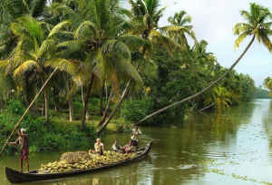 Backwaters of Kerala