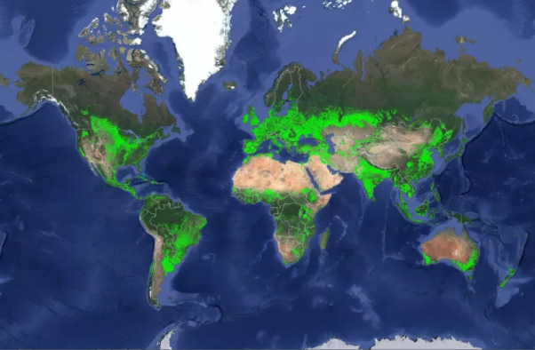 india-has-the-world-s-largest-cropland-the-saturn-herald