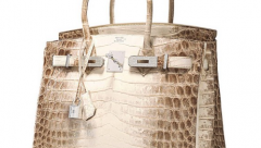 Himalaya Birkin most expensive handbag