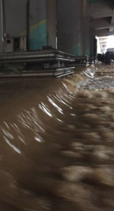 Companypady Metro station flooded at Ernakulam