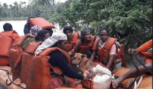 Pets rescued in inflatable dinghy