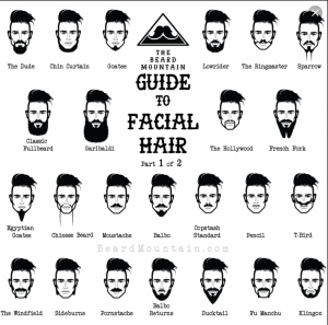 A comprehensive guide to facial hair