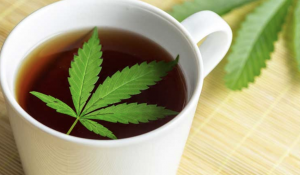 Cannabis tea