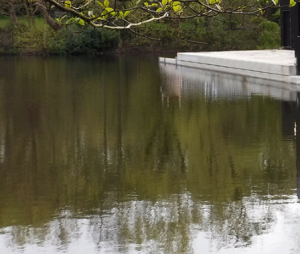 Kenwood Ladies Pond- Hampstead Heath