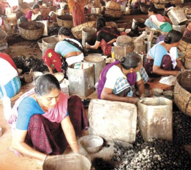 Cashew factory in Kollam