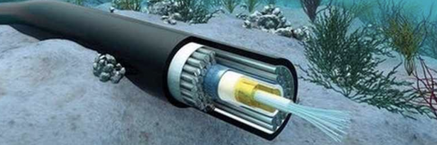 Undersea web services cable