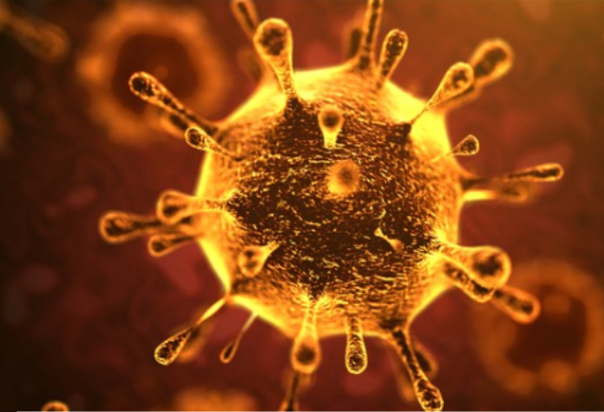 Coronavirus