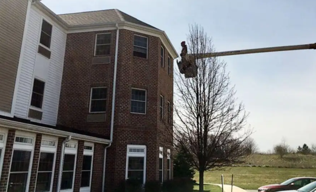 Charley Adams used his truck-mounted cherry picker to reach his mother’s third-floor window for face-to-face sight time through the glass.