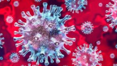 Coronavirus a pandemic