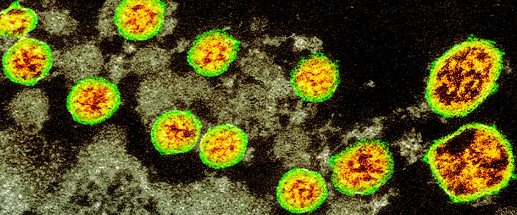 Can you be infected with coronavirus twice?