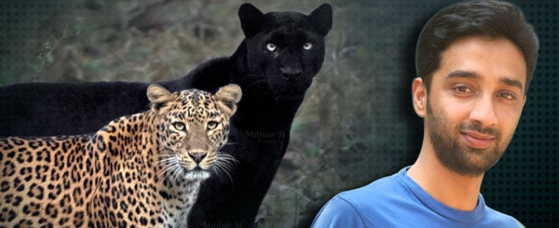 Sayya the Black Panther and Lepordress with Mithun H