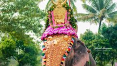 Hindu temple festival in Kerala Pic by Sarat Nair