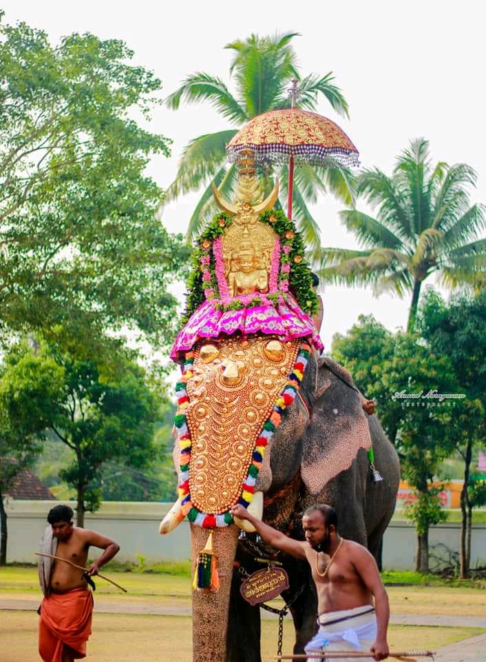 Hindu temple festival in Kerala Pic by Sarat Nair
