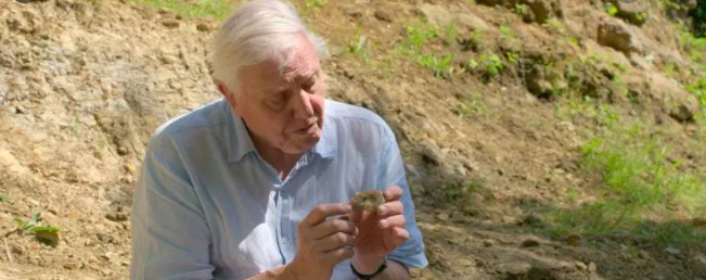 David Attenborough