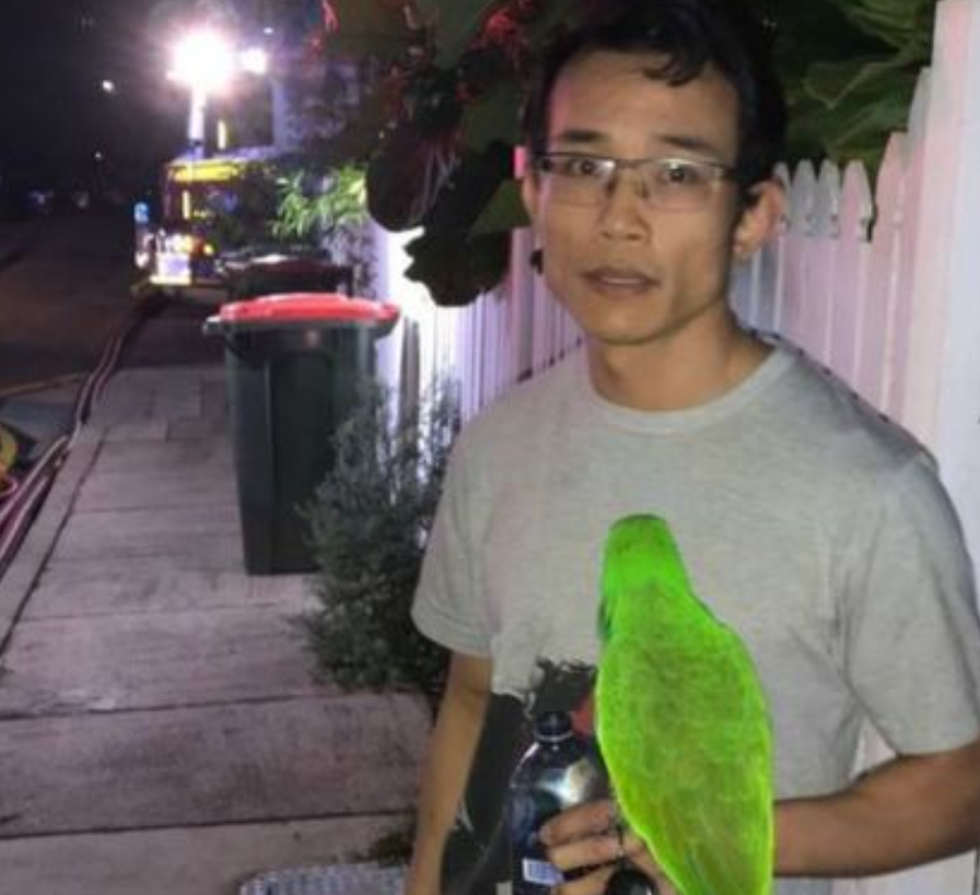 Eric the Parrot saves Nguyen from fire