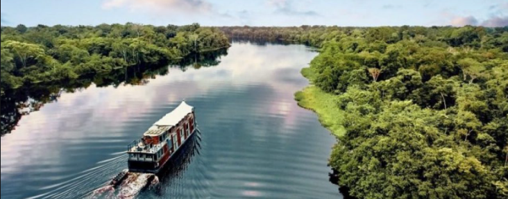 Amazon river in Manaus the origin of Brazilian variation of Covid-19