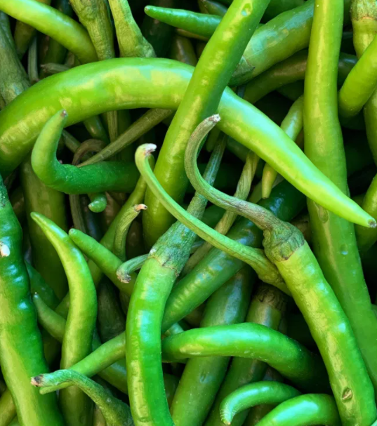 Hot Green Chillies