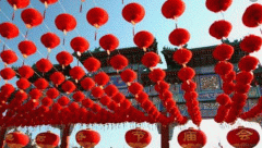 Lantern for Chinese New Year- Year of Ox