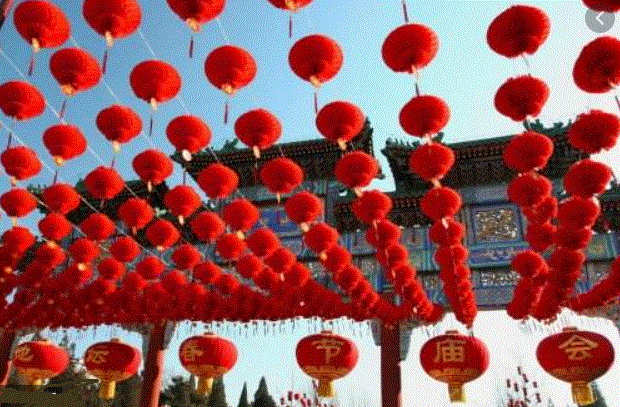Lantern for Chinese New Year- Year of Ox