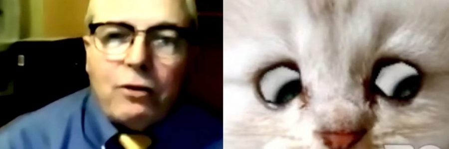 Rod Ponton, a Texas lawyer whose mishap with a cat filter on Zoom has made him an internet sensation