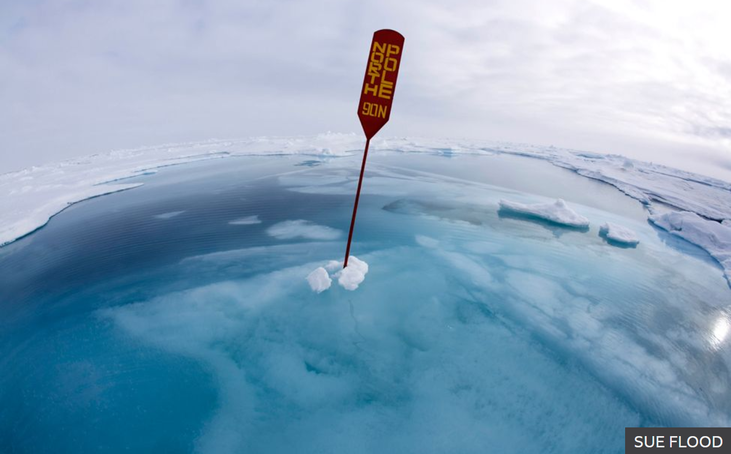 Science Photographer of the Year ( Climate Change Category North pole Underwater by Sue Flood.