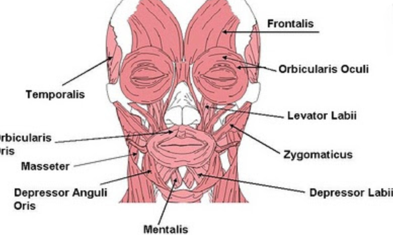 Hemifacial spasm