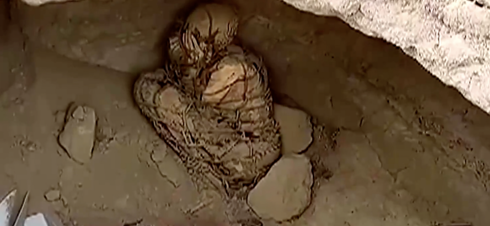 1200 year old mummy found