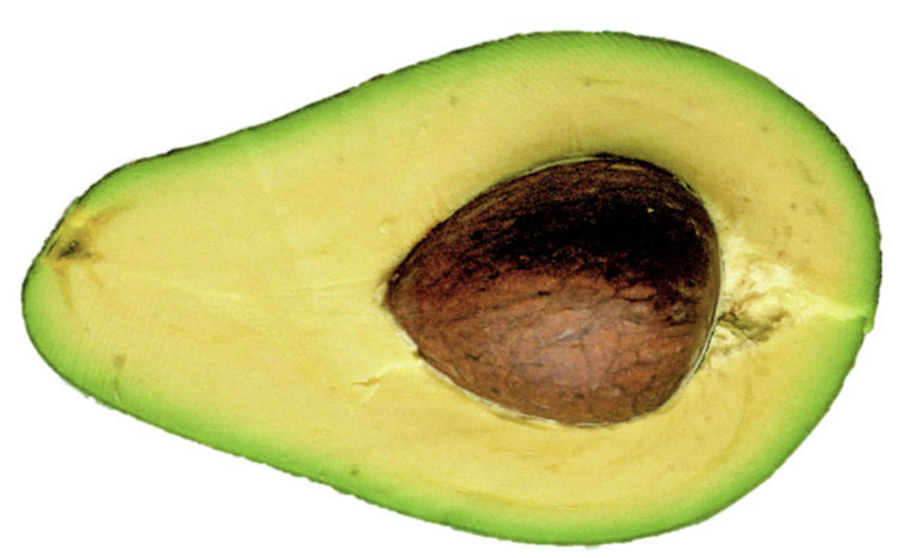 Avocado