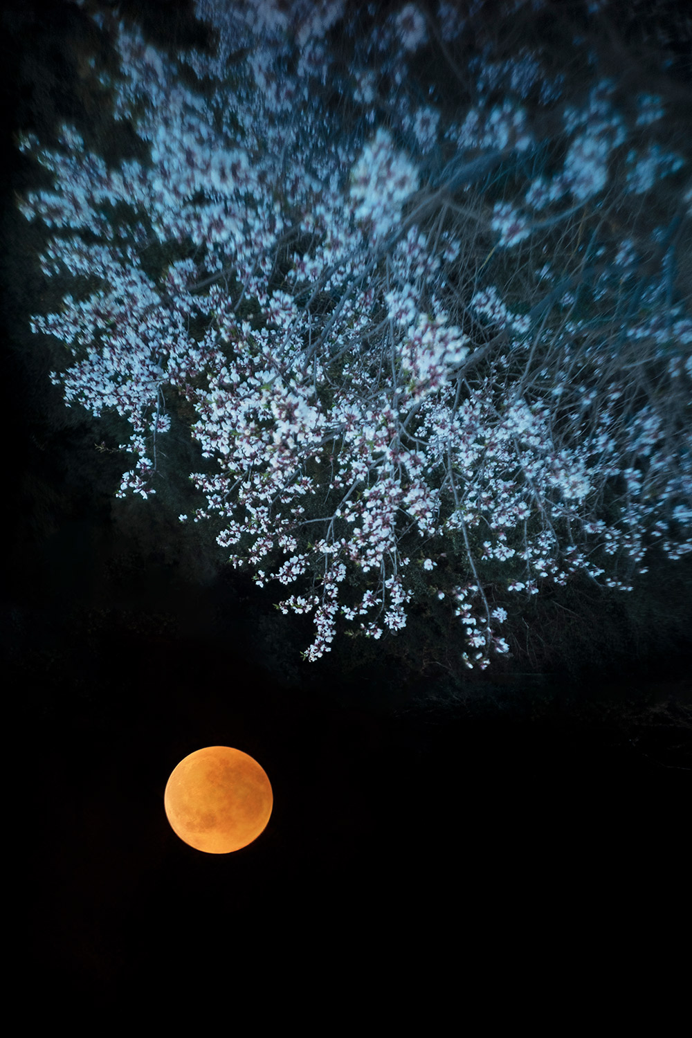 Ile de la Lune, 2021 © Paul Cupido / The Photographers’ Gallery 