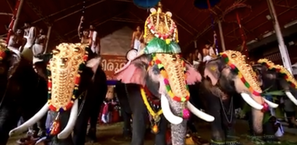 Ettumanoor Temple Elephant procession 