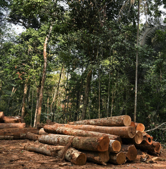 Deforestation of Amazon