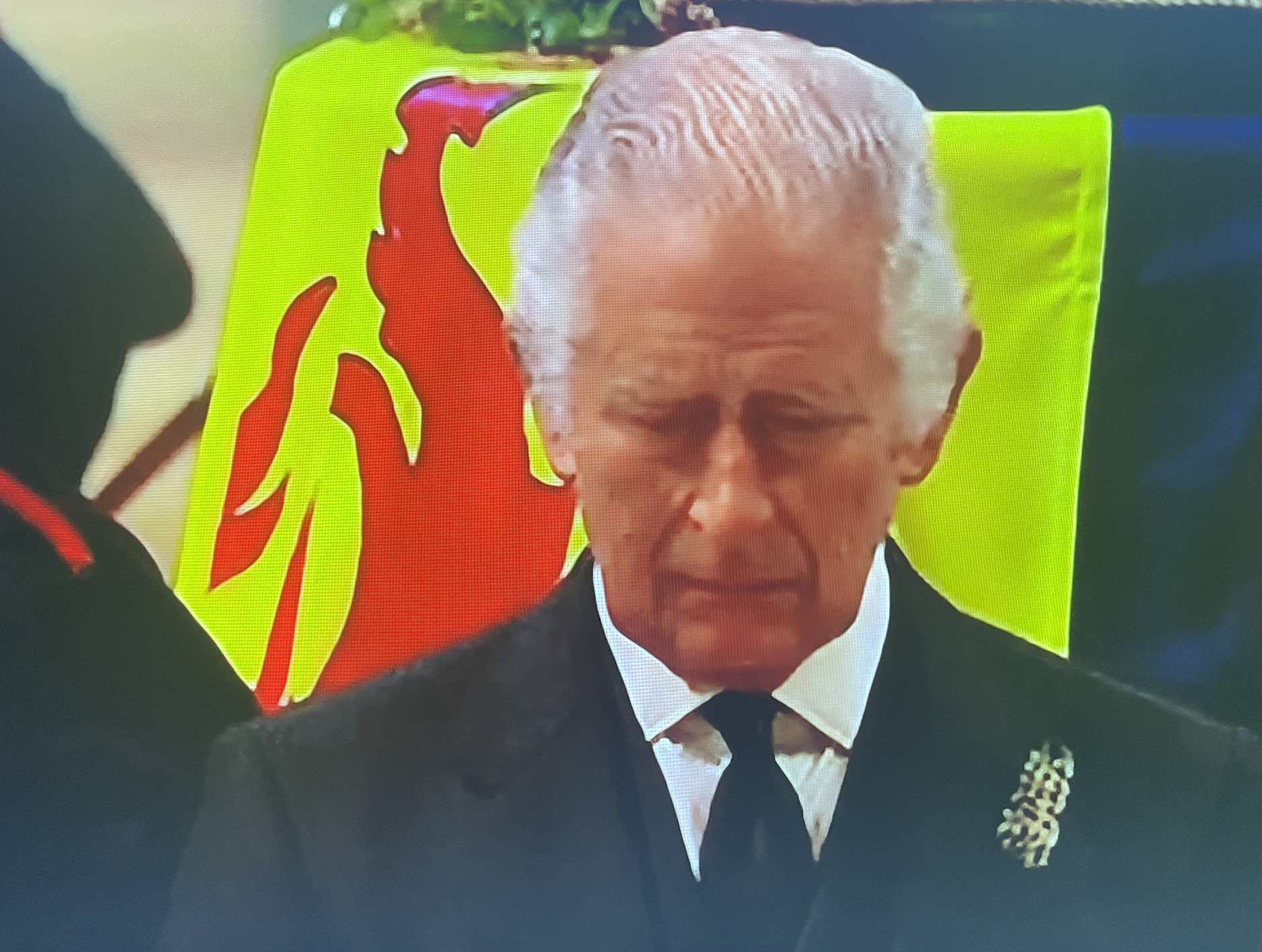 KIng Charles III in mourning.